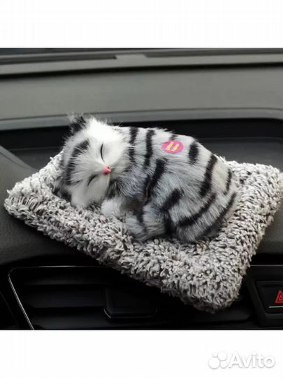 Котенок на коврике мяукающий спит