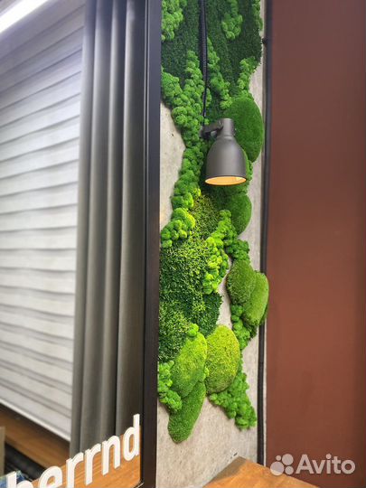 Искусственная зелень. Озеленение. Мох. Фитостена