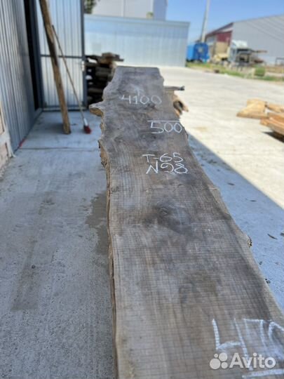 Слэбы Карагача / Слэб сухой / Гигант