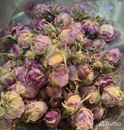 Бутоны розы чайной