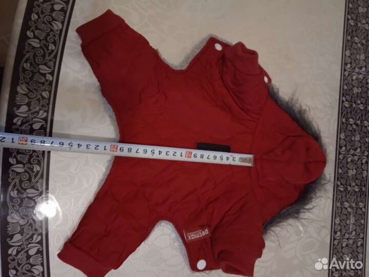 Одежда для маленьких собак xs