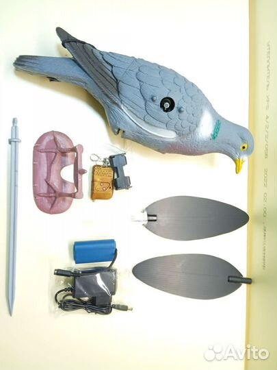 Махокрыл чучела голубей, уток