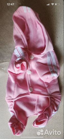 Костюм для собак