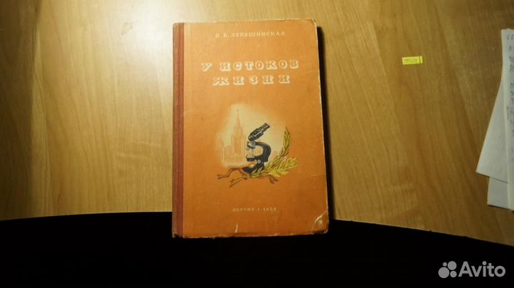2993,14 Лепешинская О.Б. У истоков жизни. Литерату