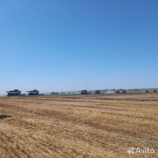 Уборка урожая 2023