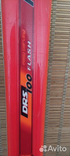 Горные лыжи