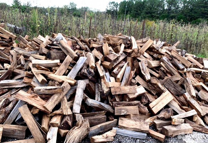 Дрова осина