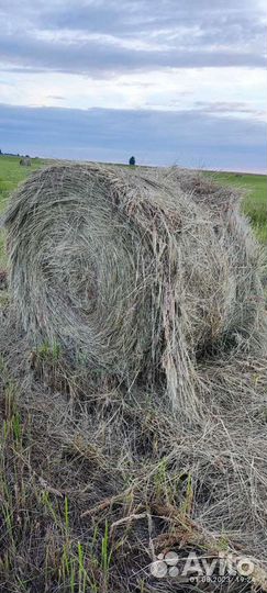 Сено в рулонах 2023