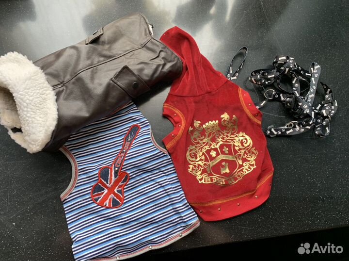 Одежда для собачек