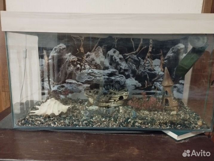 Аквариумные рыбки