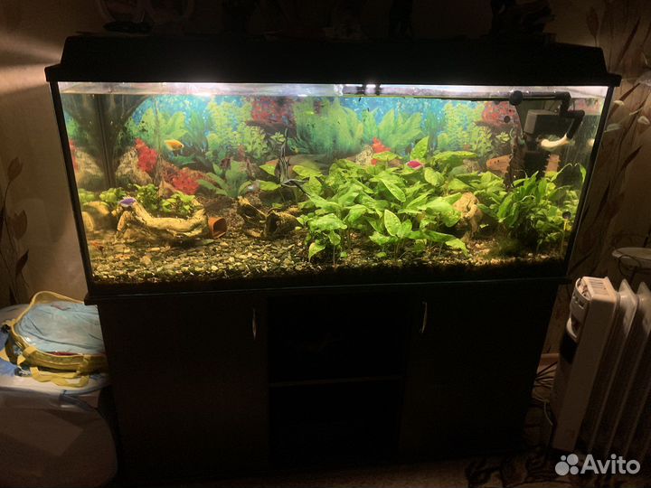 Аквариум 300л