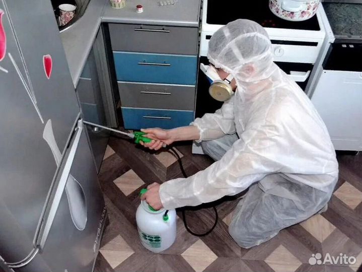 Уничтожение насекомых, грызунов и запаха 24/7