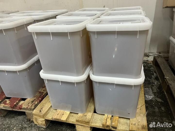 Мед оптом гречишный 23 год