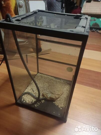 Террариум + тёплый камень