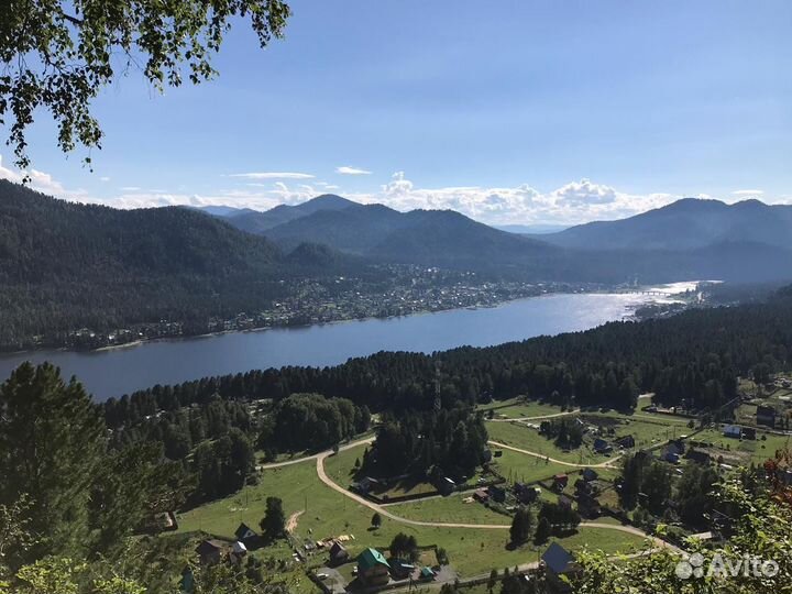 Алтайский мед