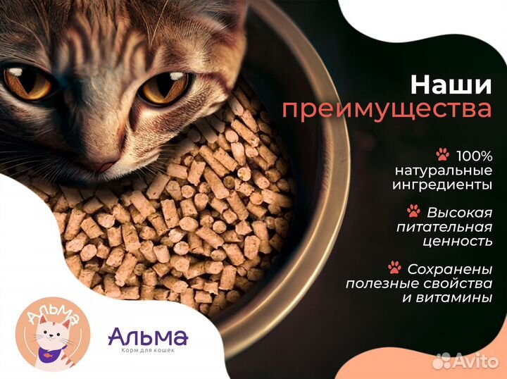 Сухой корм для Кошек 5 кг Aльма / Натуральный