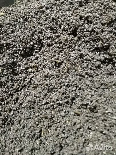 Биогумус - величайшее органическое удобрение