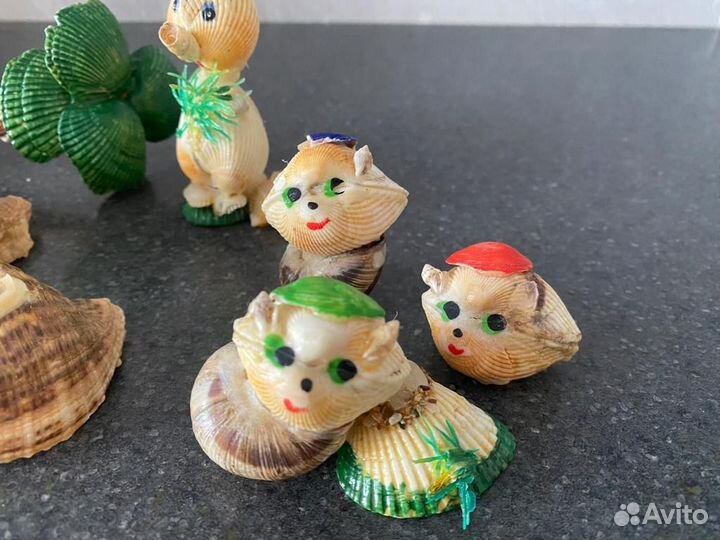 Морские ракушки