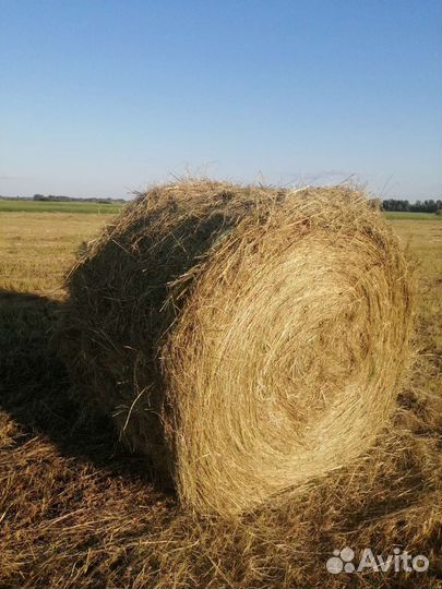 Сено в рулонах 2023 уборки. Доставка