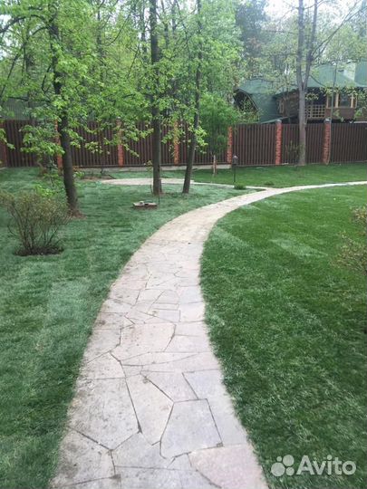 Рулонные газоны