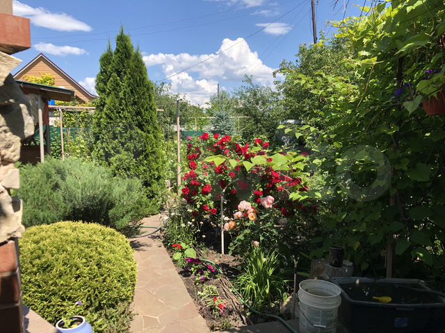 Дача 30 м² на участке 10 сот. на продажу в Новосемейкино | Купить дом в ...