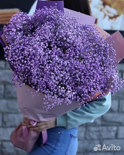 Гипсофила букет. Букет гигант