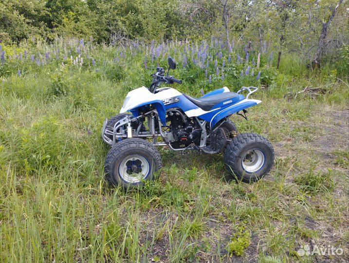 Квадрик irbis atv 250s