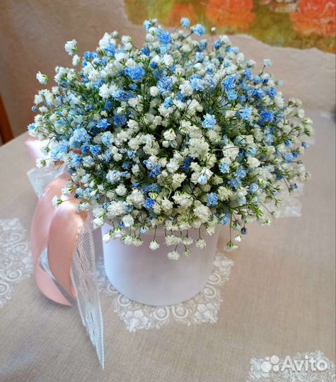 Мини-коробка с гипсофилой