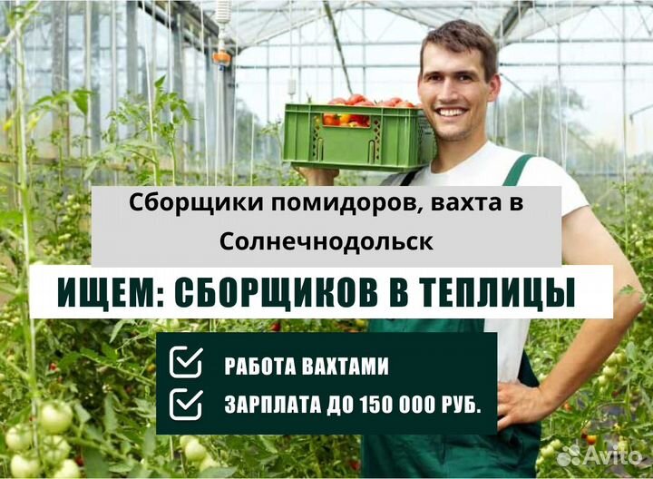 Сборщик в теплицах, вахта в Солнечнодольске, всё в