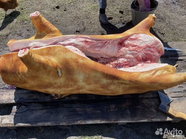 Домашнее Свинина