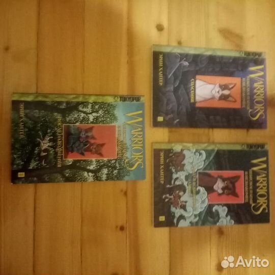 Коты водители манга