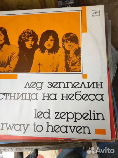 Виниловые пластинки