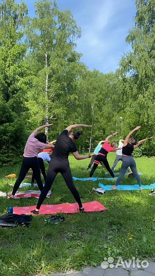 Йога (хатха)