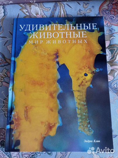 Энциклопедия животный мир