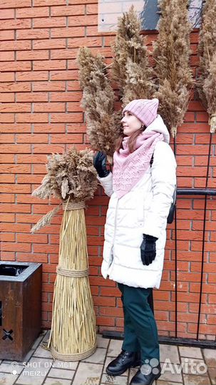 Снуд Бактус