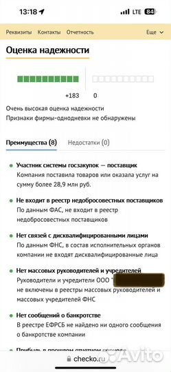 Прибыльная проектная компания