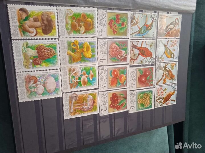 Огромная коллекция марок флора и фауна