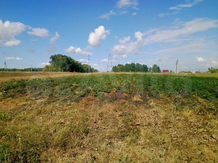 Участок 30 сот. (ИЖС)
