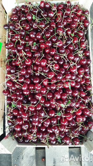 Доставка фруктов овощей зелени специй