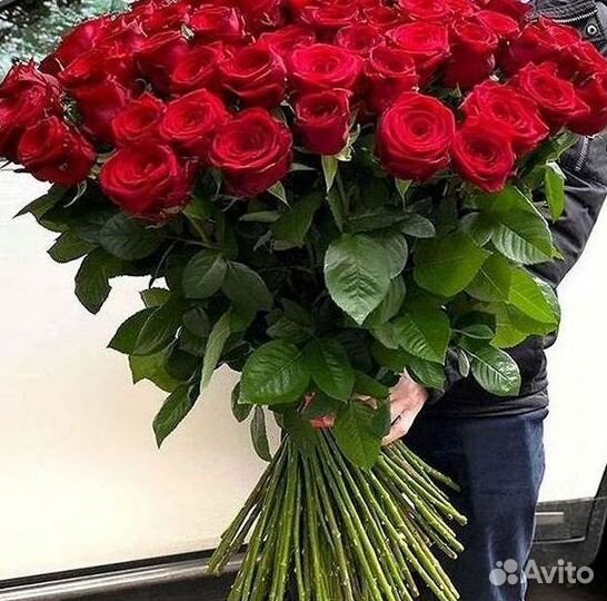 Букет роз 101 роза 51 роза