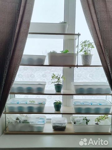 Полка для цветов и рассады на подоконник купить в Екатеринбурге ...