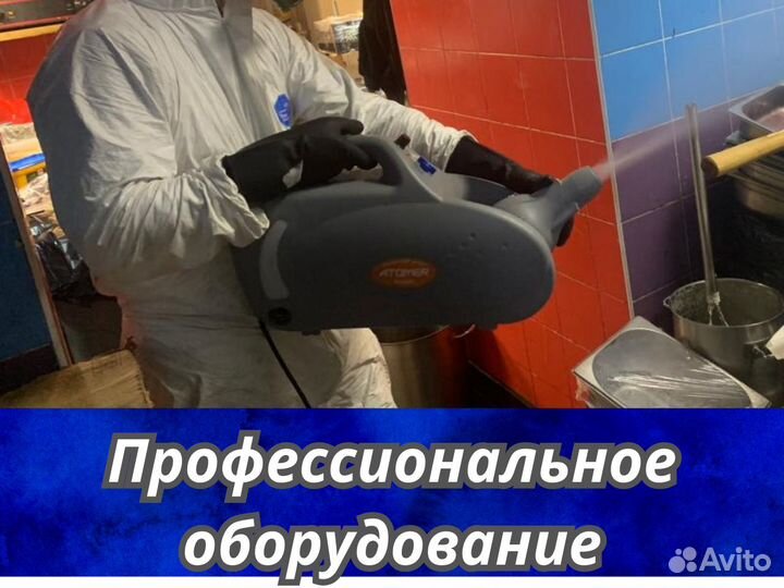 Дезинфекция Дезинсекция клопов тараканов