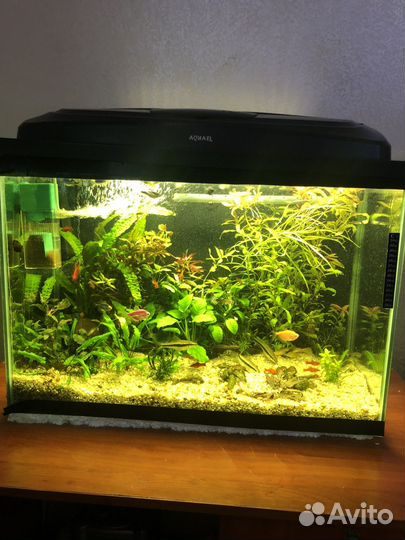 Аквариум