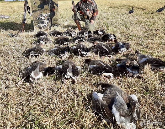 Зеркальный скрадок Stalker