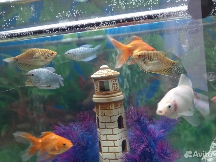 Аквариум с тумбой