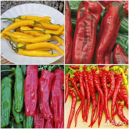 Перцы острые семена