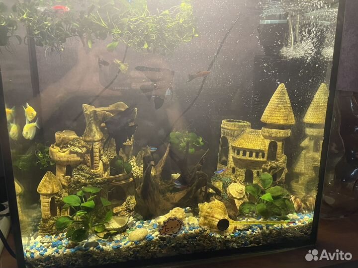 Аквариум с рыбками и тумбой