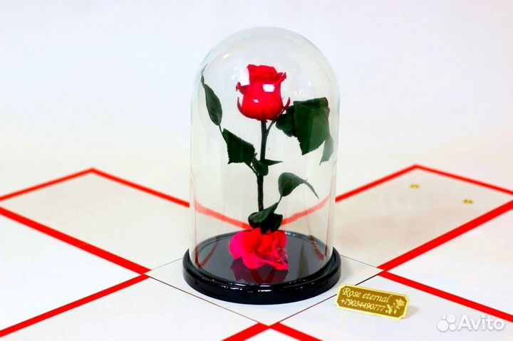 Подарок девушке/ Роза в колбе