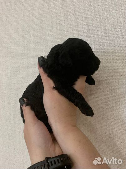 Раннее бронирование