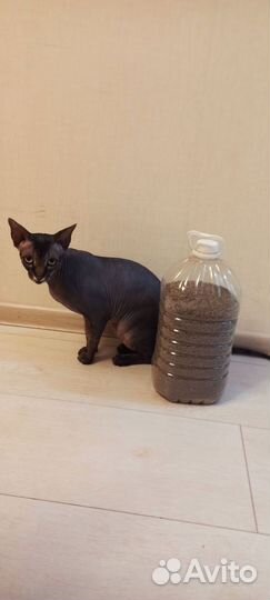 Наполнитель комкающийся для кошачьего туалета